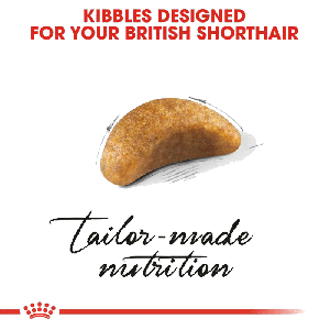 رویال بریتیش کیتن