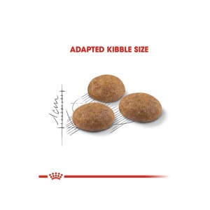 غذای خشک گربه اوت دور رویال کنین (royal canin outdoor) وزن ۲ کیلوگرم