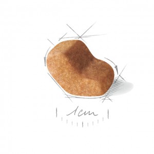 رویال شیتزو ادالت