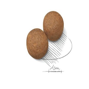 رویال مکسی ادالت