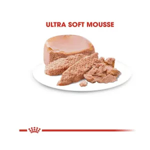 کنسرو ریکاوری رویال کنین سگ و گربه _ RoyalCanin Recovery Cat & Dog