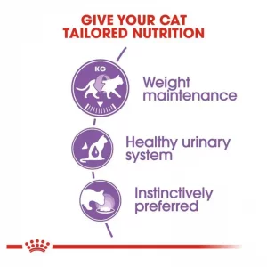 پوچ گربه رنال رویال کنین با طعم گوشت گاو Royal Canin Renal Beef وزن ۸۵ گرم