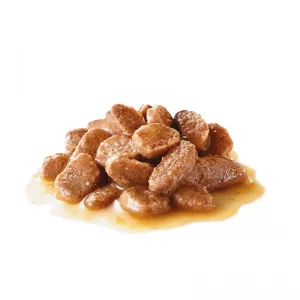 پوچ گربه مو کوتاه نژاد بریتیش رویال کنین Royal Canin British Shorthair وزن 85 گرم