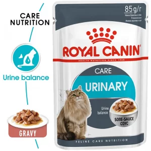 پوچ گربه مو کوتاه نژاد بریتیش رویال کنین Royal Canin British Shorthair وزن 85 گرم