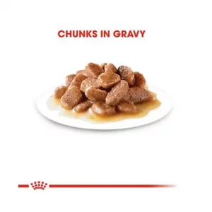 پوچ گربه گوارش حساس رویال کنین Royal Canin Digest Senstive Care وزن 85 گرم