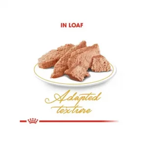 پوچ گربه رویال کنین Royal Canin Hair & Skin In Gravy وزن 85 گرم