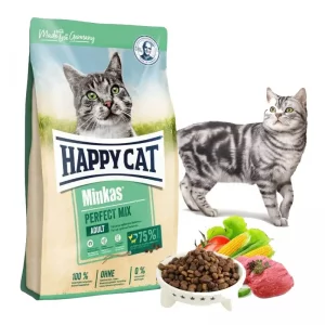 هپی کت (Happy Cat)