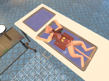 Dissection Simulator Cat Edition