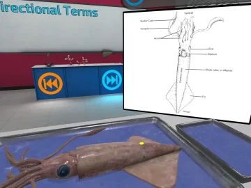 Dissection Simulator Invertebrate Edition