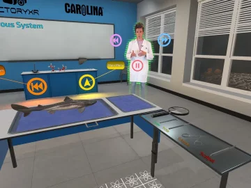 Dissection Simulator Shark Edition