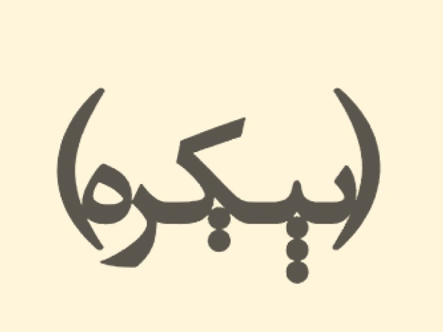 نشر پیکره