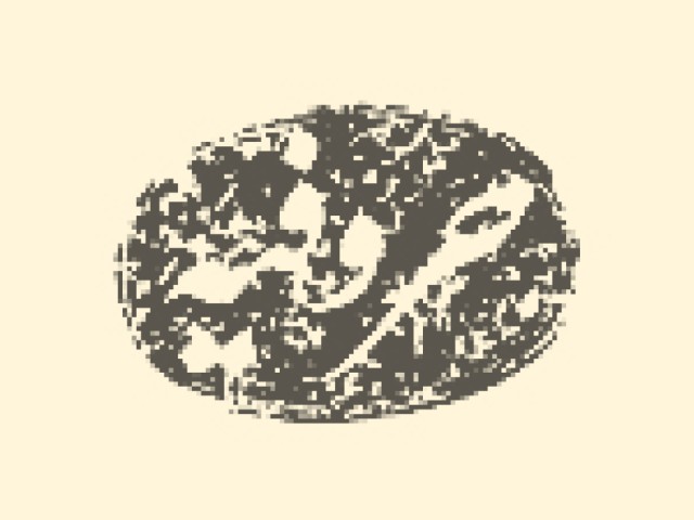 حروفیه