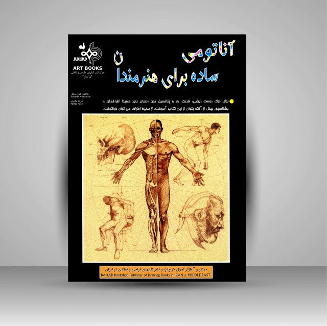 آناتومی ساده برای هنرمندان