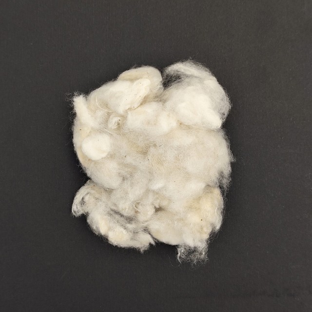 لیقه ابریشم طبیعی پیله