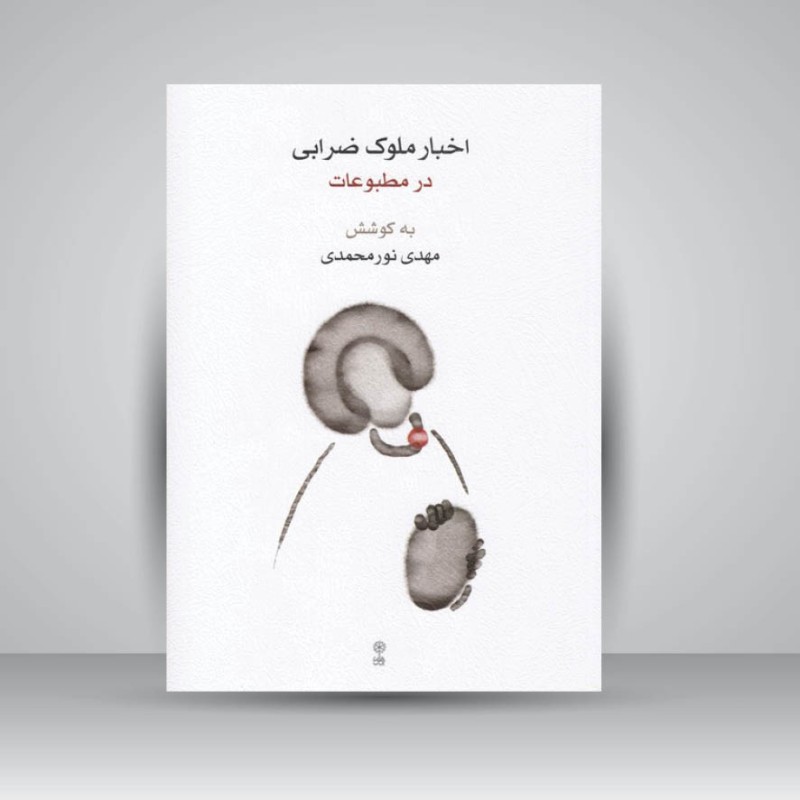 کتاب اخبار ملوک ضرابی در مطبوعات