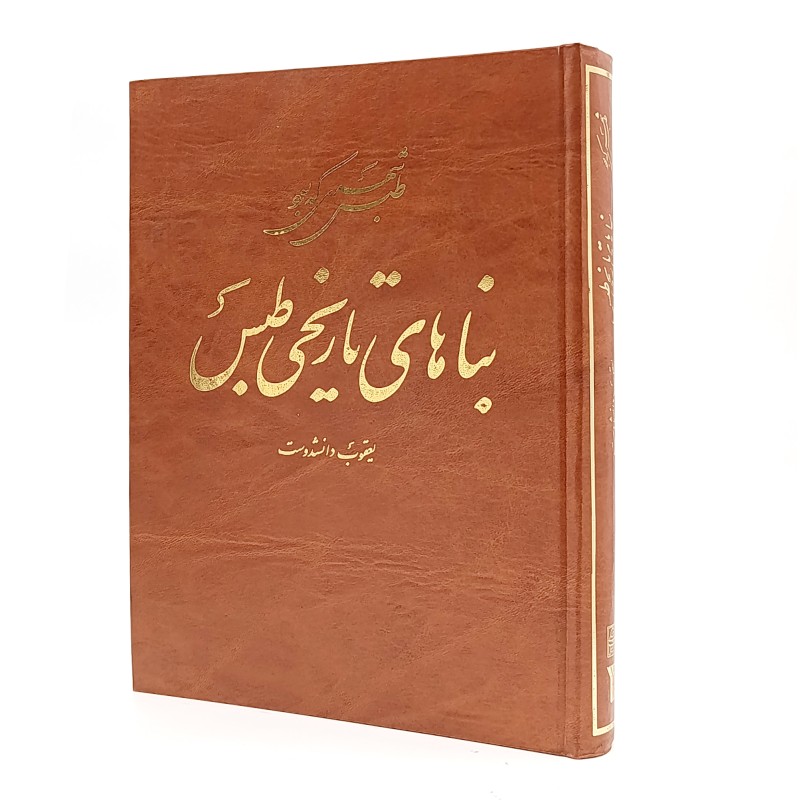 کتاب طبس شهری که بود بناهای تاریخی طبس (پژوهشگاه میراث فرهنگی)