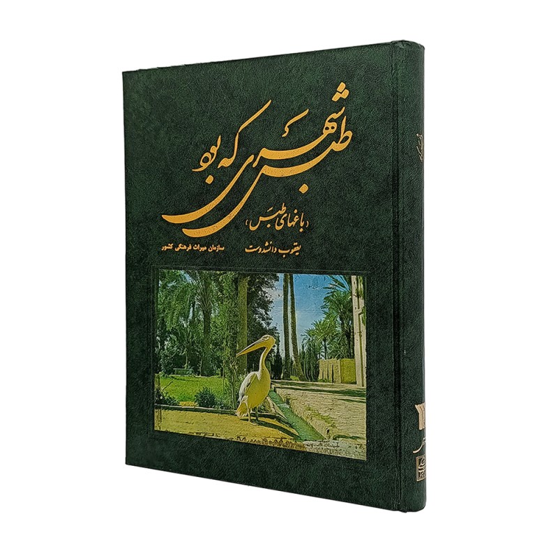 کتاب طبس شهری که بود: باغ های طبس (نشر میراث فرهنگی)