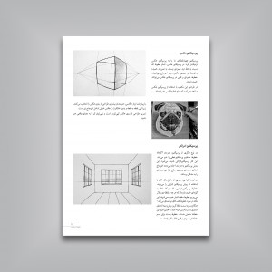 رازهای پرسپکتیو