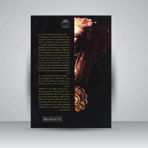 تاریخ ایران باستان- هخامنشی ها