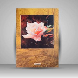 آلبوم صفورا (برگزیده آثار آرش دیری زاده)