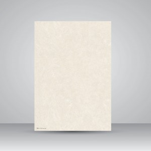 کاغذ ابروباد چاپی،35*25 cm، کد 928، (بسته 10 عددی)