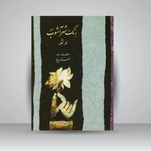 کتاب رنگ شهر آشوب در شور