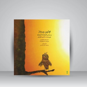 کتاب اولین پرواز