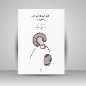 کتاب اخبار ملوک ضرابی در مطبوعات