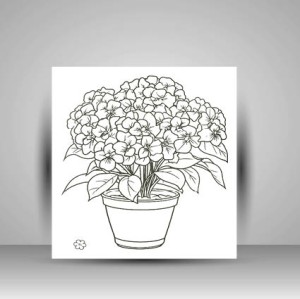 کتاب راز گل ها