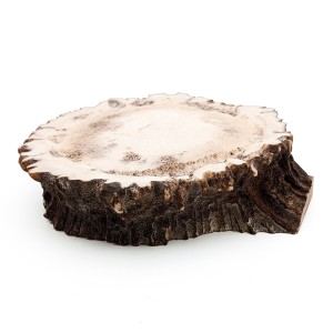 قط زن شاخ گوزن کلکسیونی