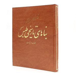 کتاب طبس شهری که بود بناهای تاریخی طبس (پژوهشگاه میراث فرهنگی)