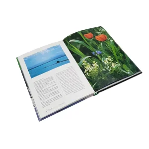 کتاب ایران شکوه زیبائیها