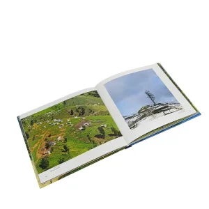 کتاب گیلان میراث سبز ایران  (انتشارات یساولی)