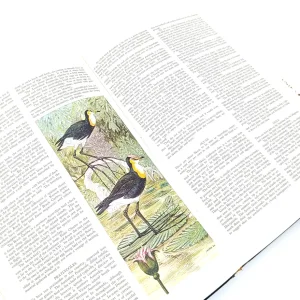 کتاب Australian Birds Hill