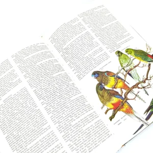 کتاب Australian Birds Hill