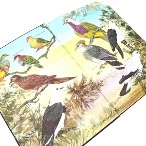 کتاب Australian Birds Hill