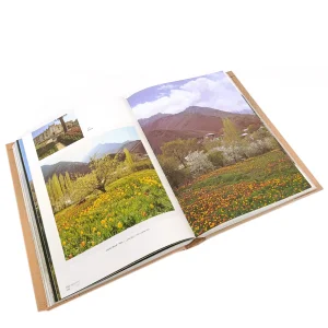 کتاب ایران گهواره تمدن (نشر گویا)