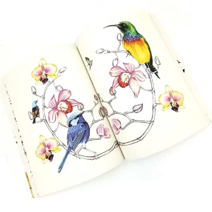 کتاب Birdtopia: Colouring Book