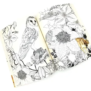 کتاب Birdtopia: Colouring Book