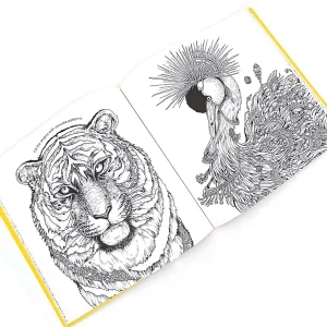 کتاب Imagimorphia: An Extreme Colouring and Search Challenge