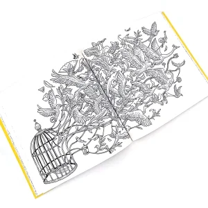 کتاب Imagimorphia: An Extreme Colouring and Search Challenge