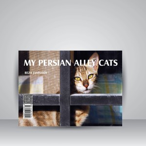 گربه‌های خیابانی ایران من