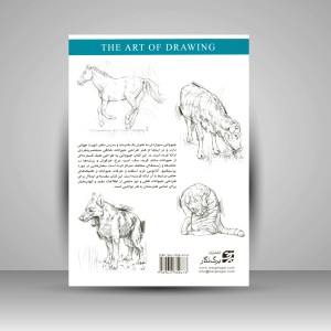 طراحی حیوانات اهلی: سگ، گربه، اسب و سایر حیوانات