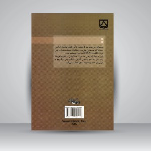 راهنمای حفاظت عملی از ساختمان (آجر، سفال، خاک) جلد دوم