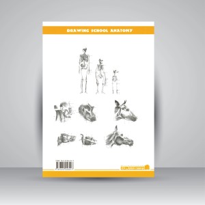مدرسه طراحی آناتومی: آناتومی مقایسه‌ای (جلد4)