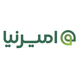 امیرنیا