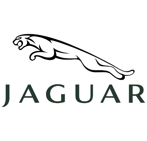 جگوار | jaguar