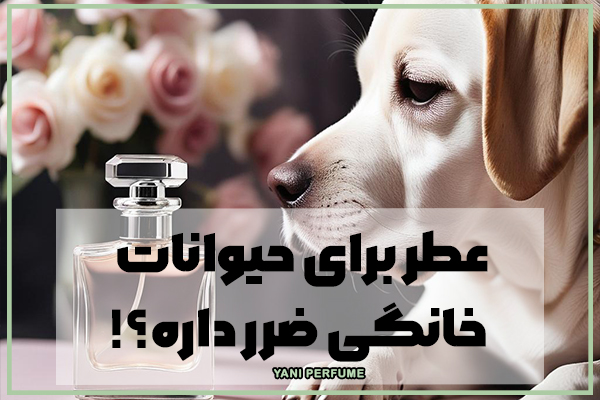 عطر برای حیوانات خانگی ضرر داره؟!