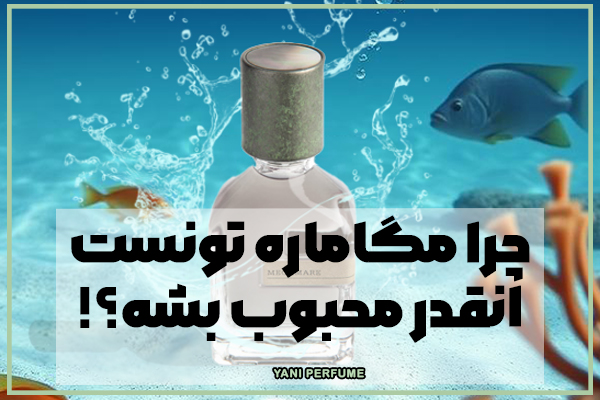 چرا عطر مگاماره انتخابی بینظیر برای عاشقان رایحههای دریایی است؟
