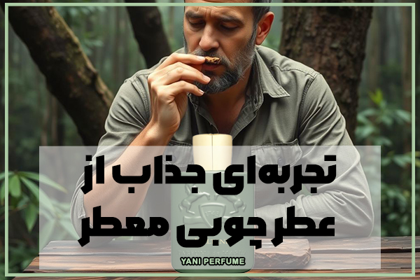 مارلی هالتان: تجربهای جذاب از عطر چوبی معطر